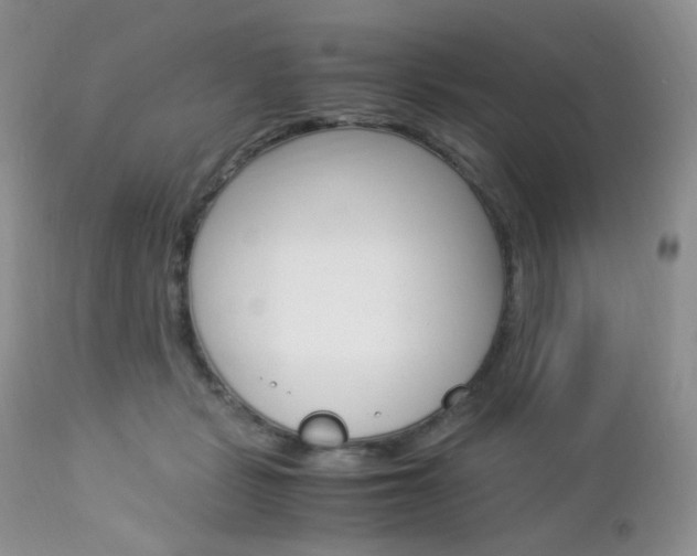 X0000113110461200908281022