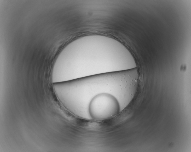 X0000113110462200908281022