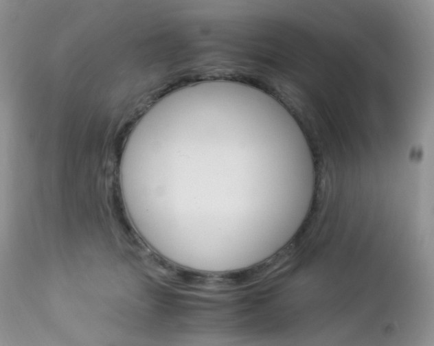 X0000113110463200908281022