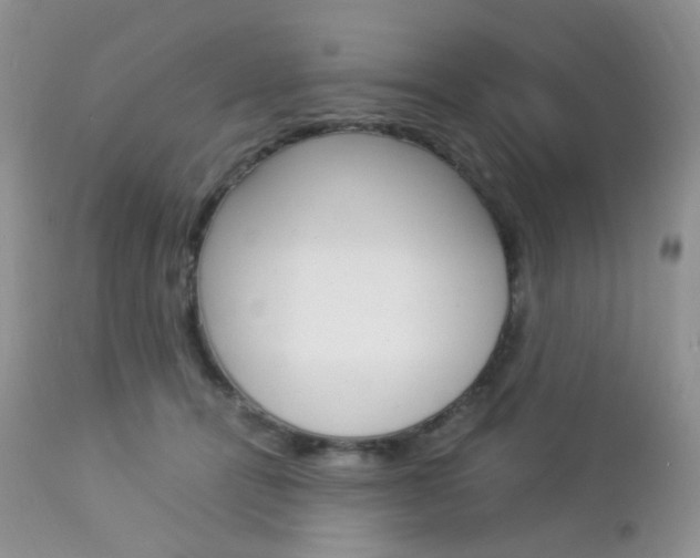 X0000113110464200908281022