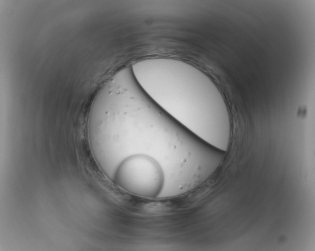 X0000113110465200908281022