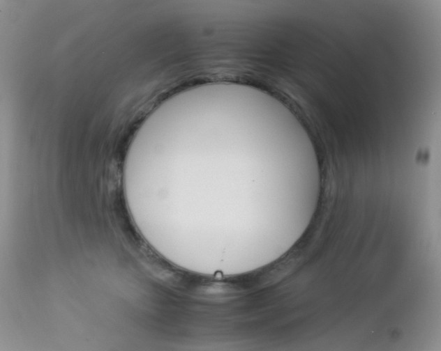 X0000113110467200908281022