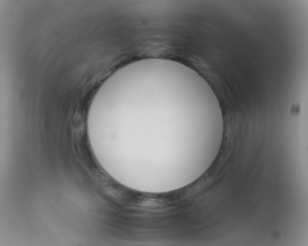 X0000113110471200908281022
