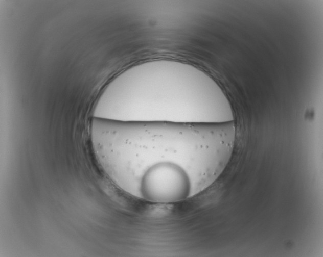 X0000113110474200908281022