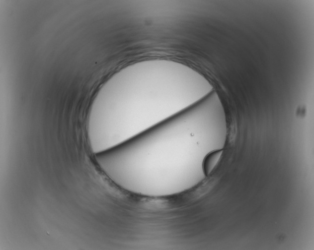 X0000113110476200908281022