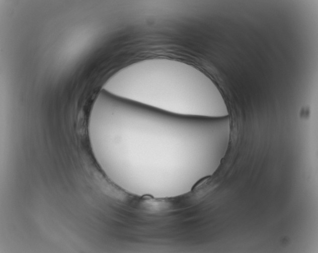 X0000113110477200908281022