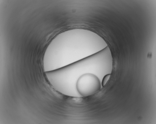 X0000113110478200908281022