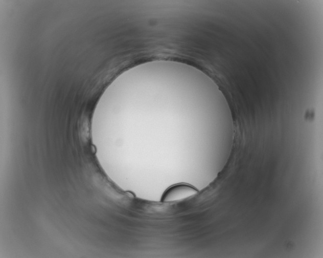 X0000113110479200908281022