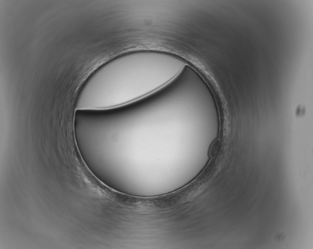 X0000113110481200908281021