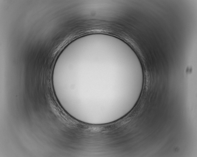 X0000113110482200908281021