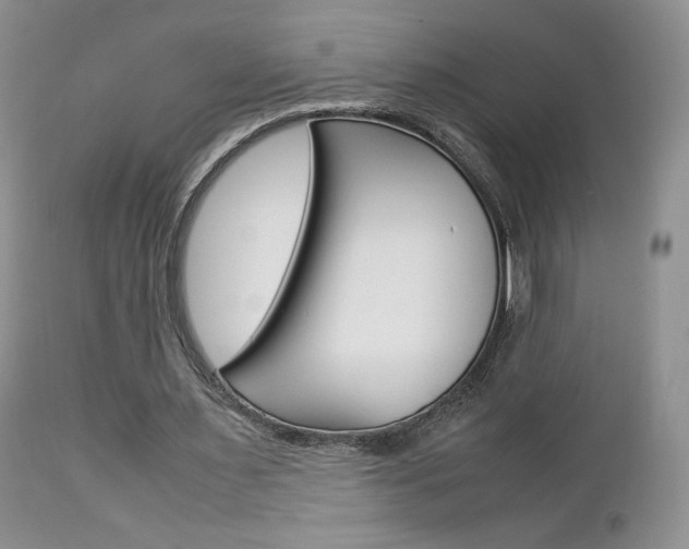 X0000113110483200908281021