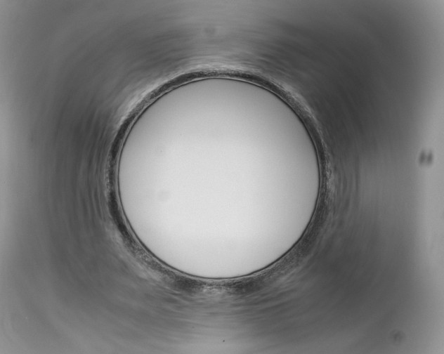 X0000113110487200908281021