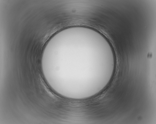 X0000113110489200908281021