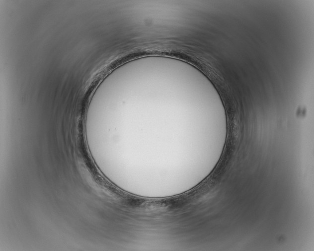 X0000113110491200908281021