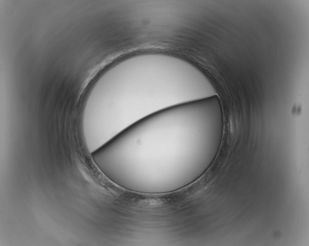 X0000113110492200908281021