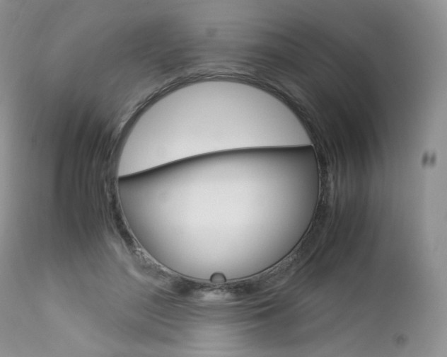 X0000113110500200908281021
