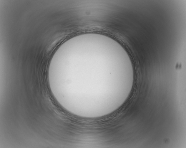 X0000113110501200908281021