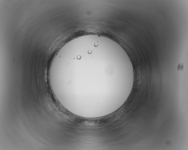X0000113110502200908281021
