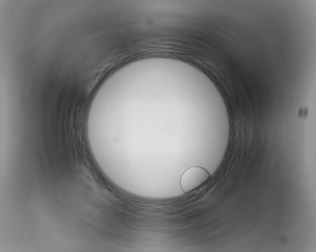 X0000113110504200908281021