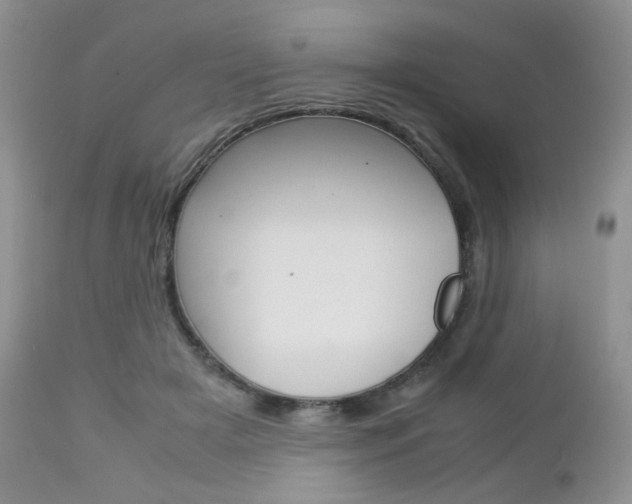 X0000113110505200908281021