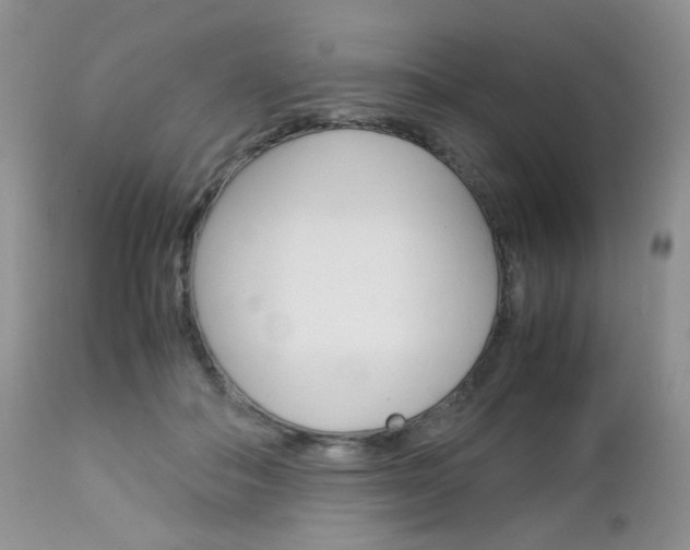 X0000113110506200908281021