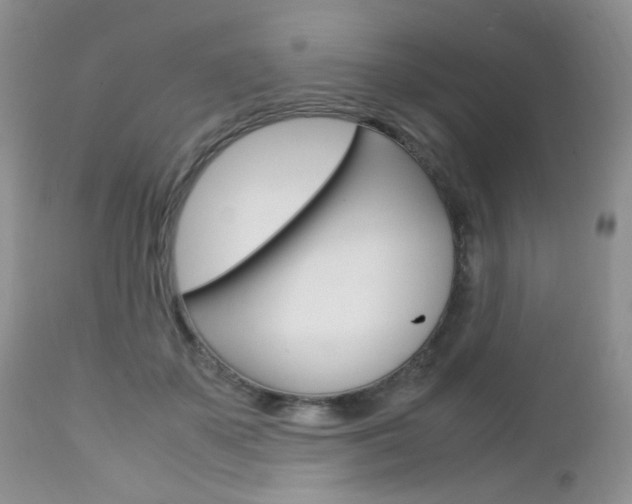 X0000113110507200908281021