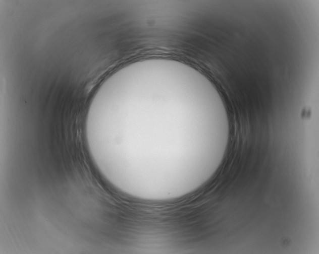 X0000113110508200908281021