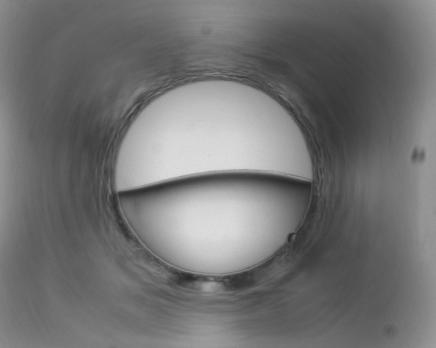 X0000113110509200908281021