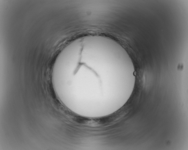 X0000113110511200908281021
