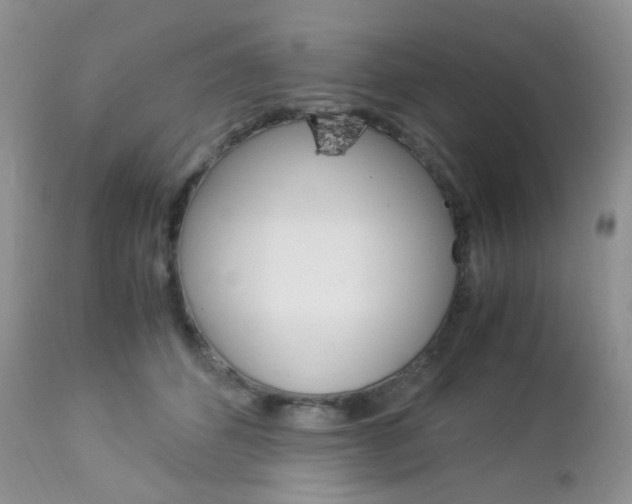 X0000113110512200908281021