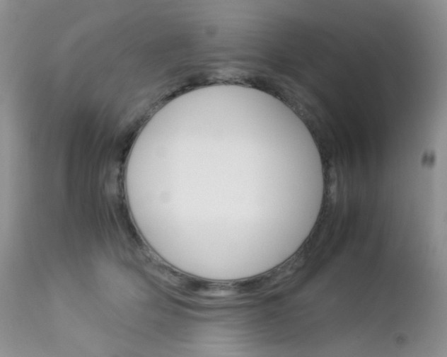 X0000113110514200908281021