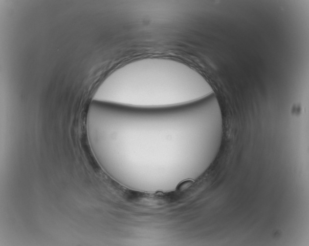 X0000113110515200908281021