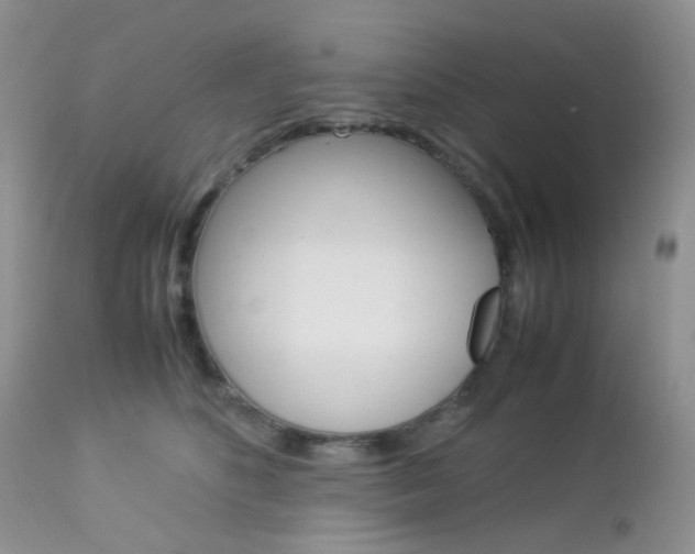 X0000113110516200908281021