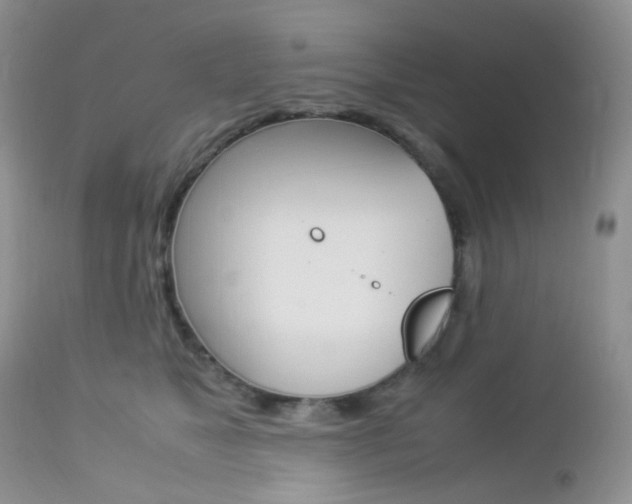 X0000113110517200908281021