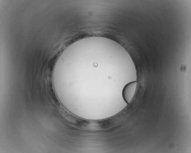 X0000113110518200908281021