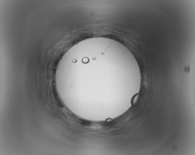 X0000113110519200908281021
