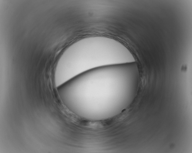 X0000113110520200908281021