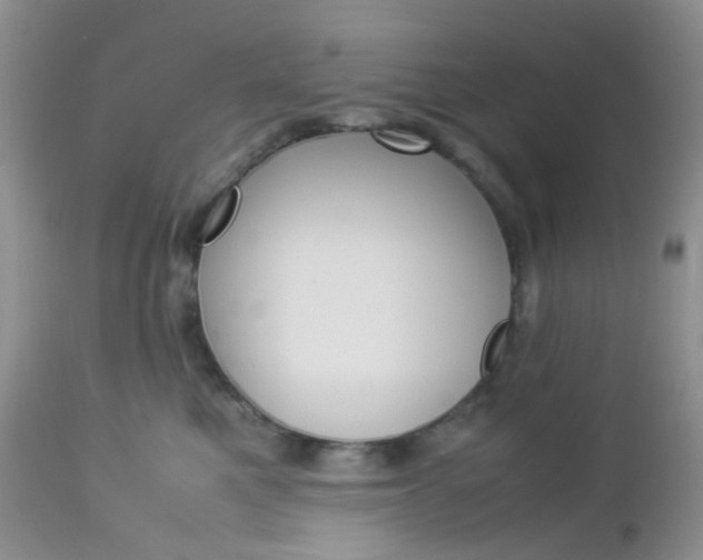 X0000113110521200908281021