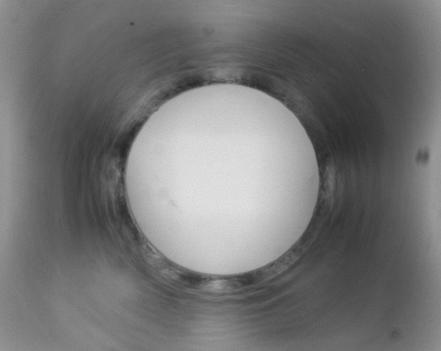 X0000113110522200908281021