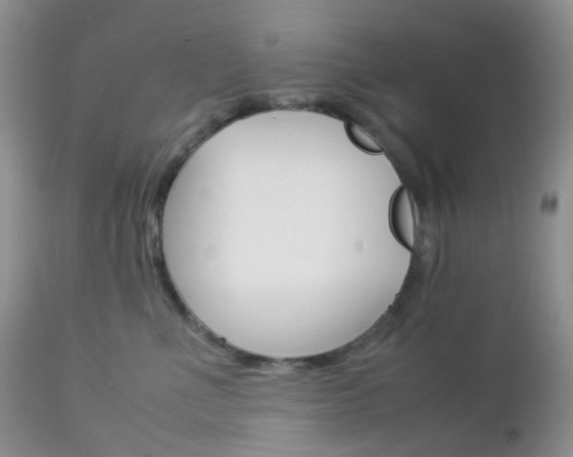X0000113110523200908281021