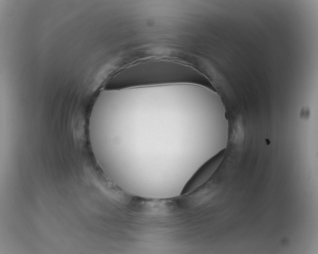 X0000113110524200908281021