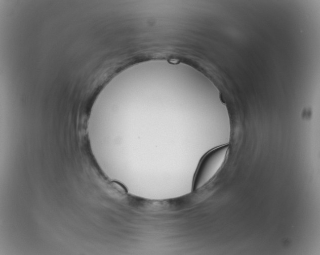 X0000113110525200908281021