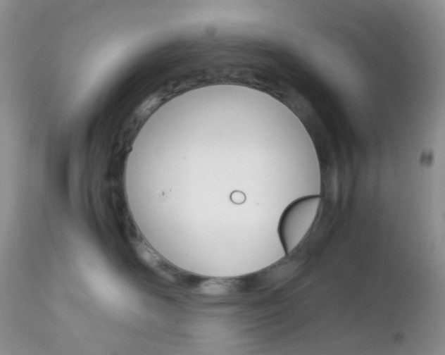 X0000113110526200908281021