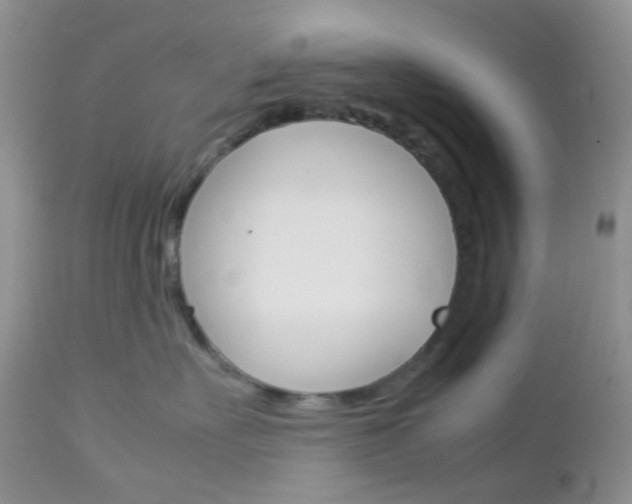 X0000113110527200908281021