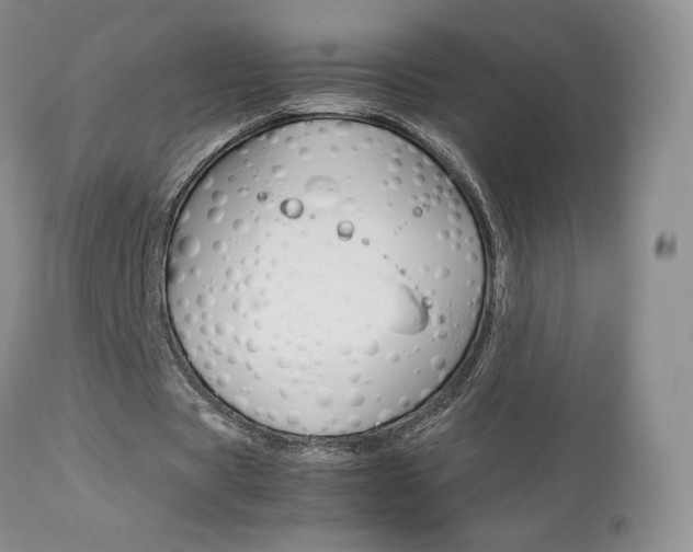X0000113110529200908281020
