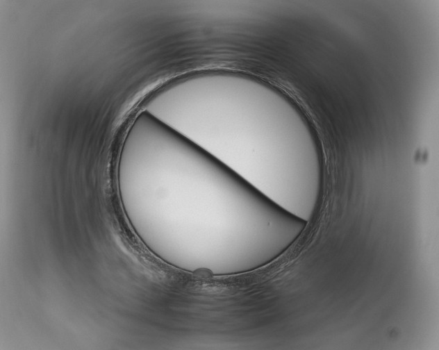 X0000113110531200908281020