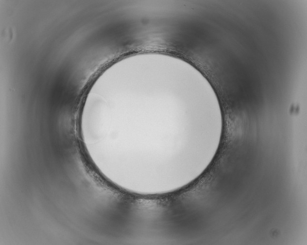 X0000113110534200908281020