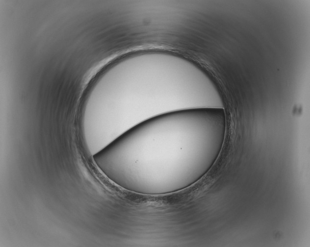 X0000113110536200908281020