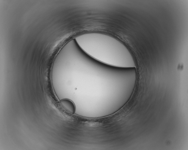 X0000113110539200908281020