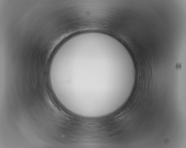 X0000113110540200908281020